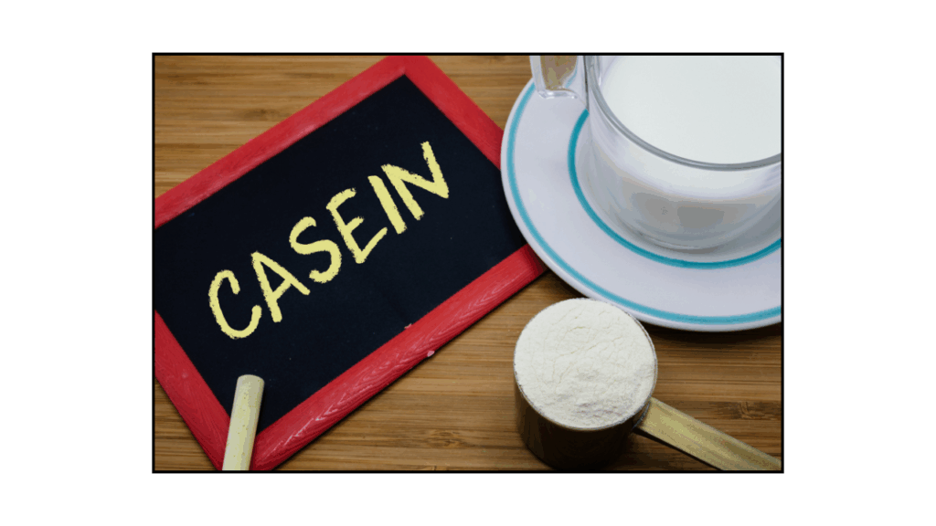 カゼインプロテイン