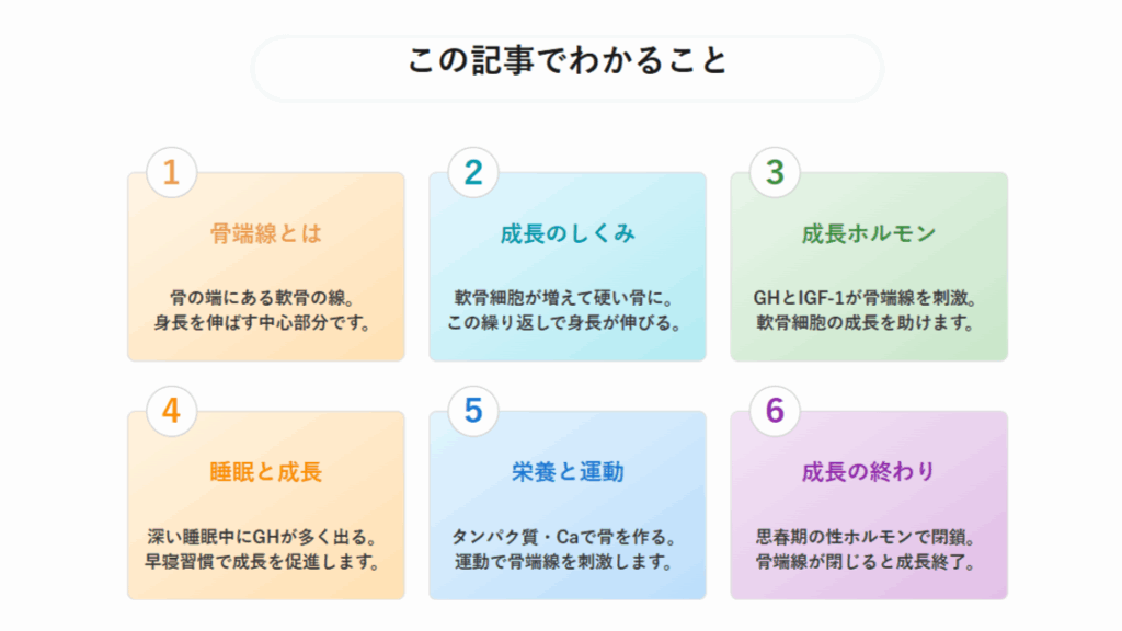 成長における骨端線のメカニズムと役割から骨端線閉鎖までの図解解説