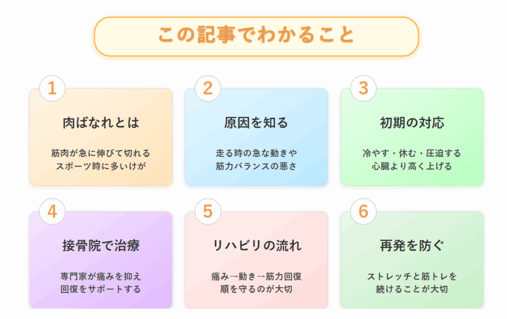 ハムストリングの肉ばなれを発生原因から再発防止までを要約した図解