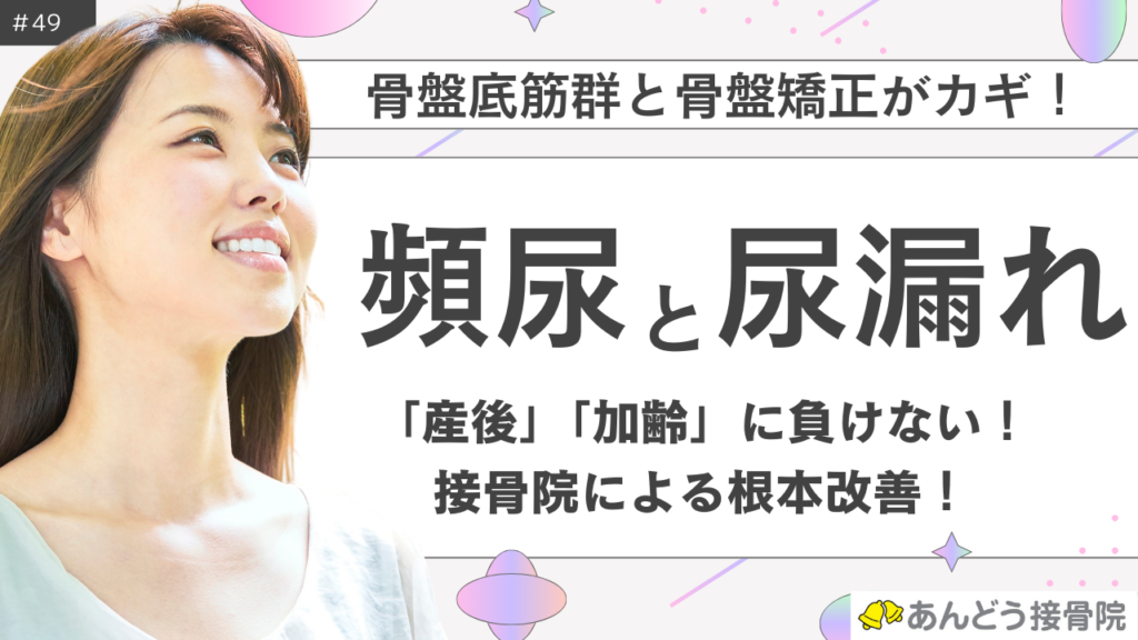 骨盤底筋群と骨盤矯正が頻尿と尿漏れの根本改善への近道という記事のアイキャッチ画像