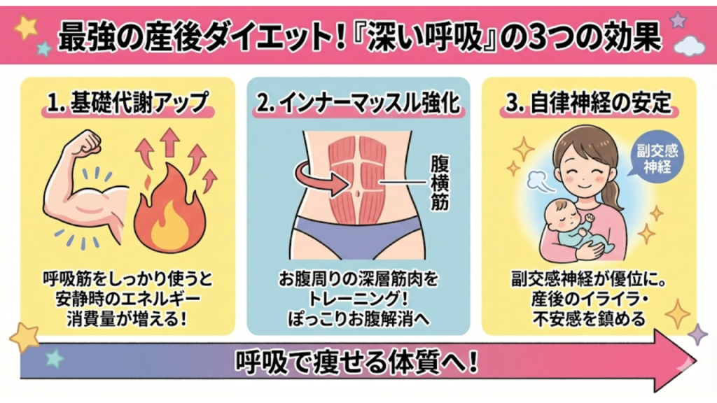深い呼吸をした時の3つの効果を説明したイラスト