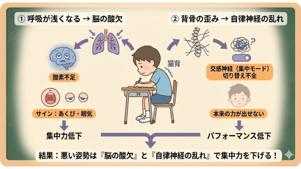 姿勢と呼吸が集中力の低下を引き起こす理由を説明したイラスト